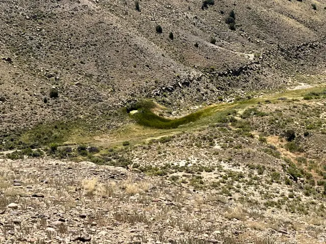 Address Withheld By Seller, Duchesne, UT 84021 - Image #3