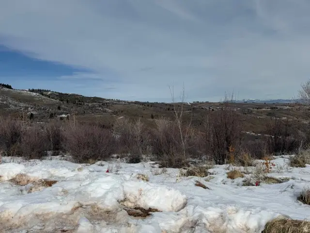 120 Nez Perce Cir, Fish Haven, ID 83287 - #2