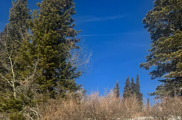 6838 E 6675 N #2, Eden, UT 84310 - Image #3