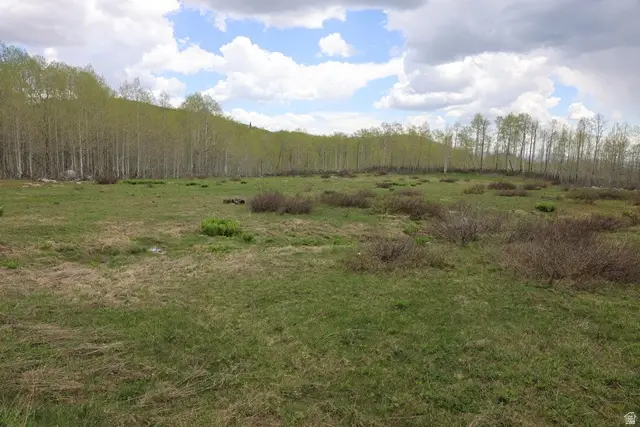 5274 N Larkspur Rd W #41, Midway, UT 84049 - Image #2