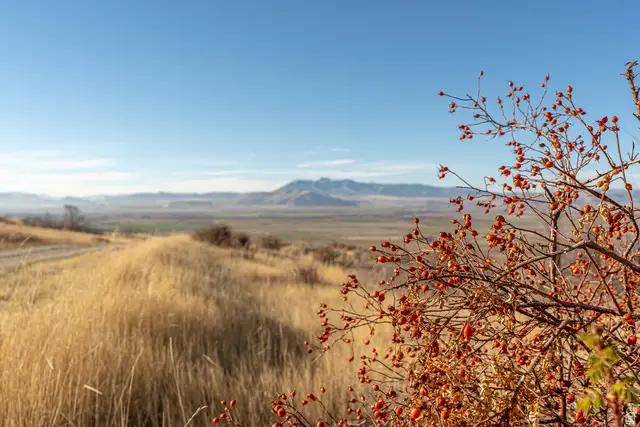 Address Withheld By Seller, Richmond, UT 84333 - #1