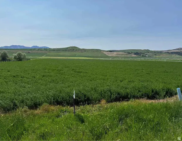 1225 N Hwy 23 Hwy W, Trenton, UT 84338 - Image #3