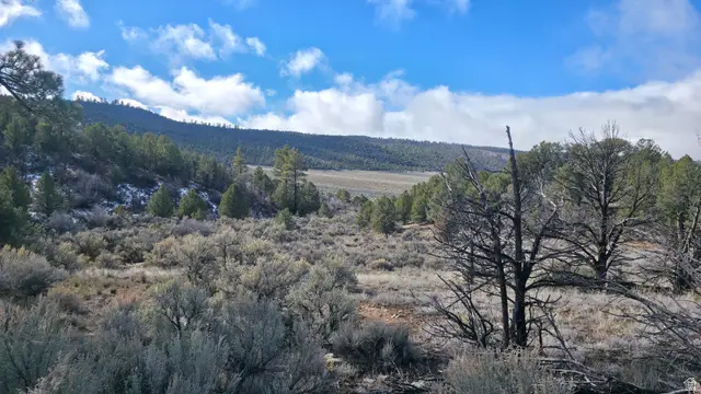 60 S Wray Mesa Rd #2, La Sal, UT 84530 - Image #3