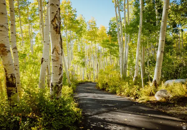 12286 E Windflower Ln #48, Salt Lake City, UT 84121