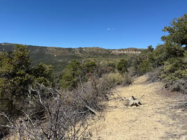 Address Withheld By Seller, Whitewater, UT 84755 - Image #2