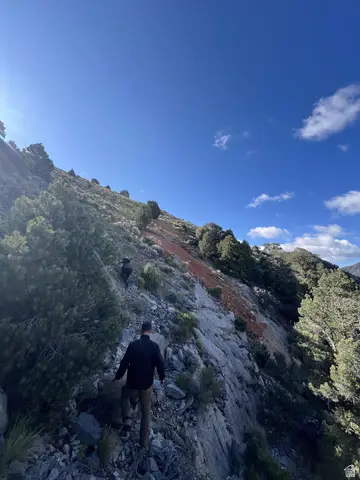 Address Withheld By Seller, Hastings, UT 84010 - Image #3