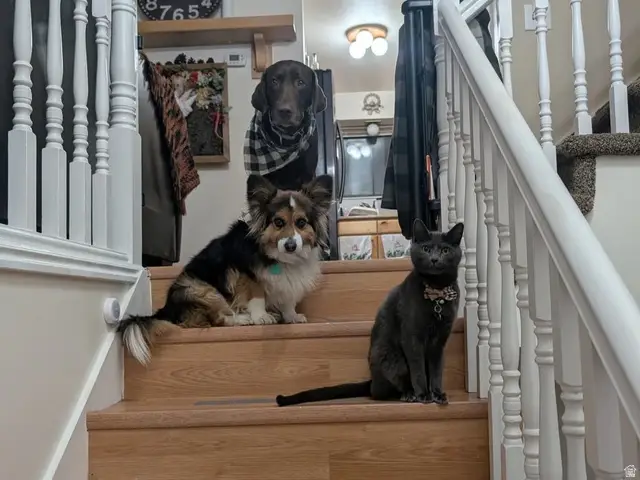 430 W 100 N, Clearfield, UT 84015 - Image #2