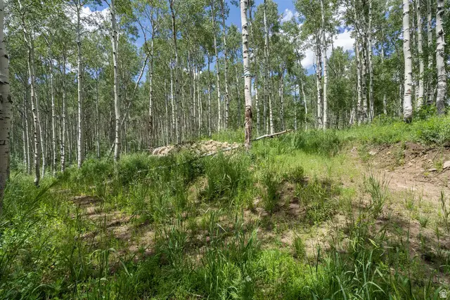 2086 W Bright Star Rd #17, Midway, UT 84049 - Image #3