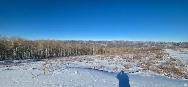 #D45, Spanish Fork, UT 84660 - Image #2