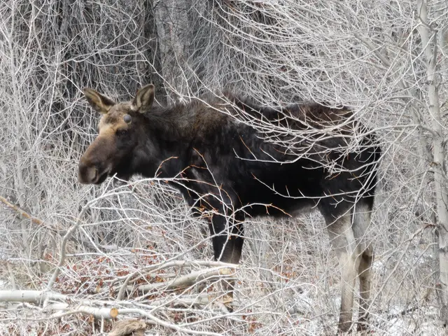 5866 Mirror Lake Hwy, Coalville, UT 84017 - Image #3