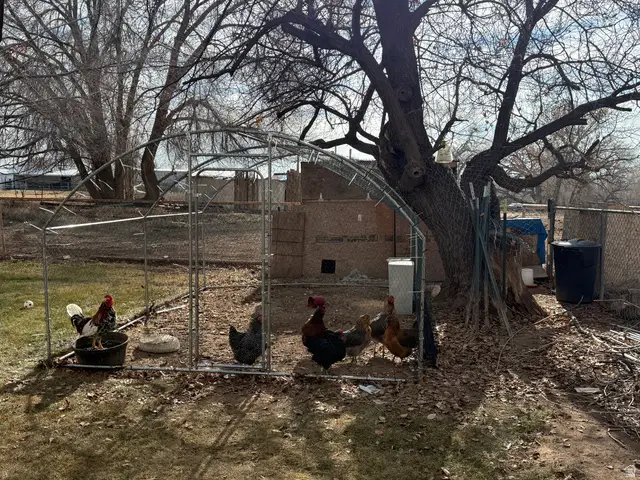 1961 Cove Rd S, Roosevelt, UT 84066 - Image #3