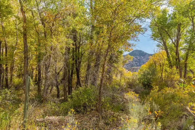 Address Withheld By Seller, Sevier, UT 84766 - Image #3