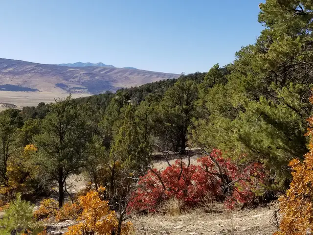 #1, Indianola, UT 84629 - Image #1