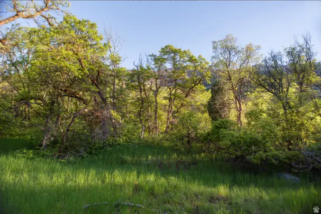 2631 N Mountain Park #56, Alpine, UT 84004 - Image #2