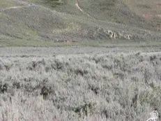 32 Dry Valley Rd N, Scofield, UT 84526 - Image #2