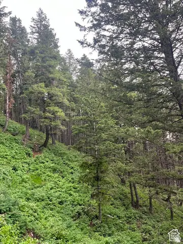 415 E Matterhorn Dr. S #138, Park City, UT 84098 - Image #3