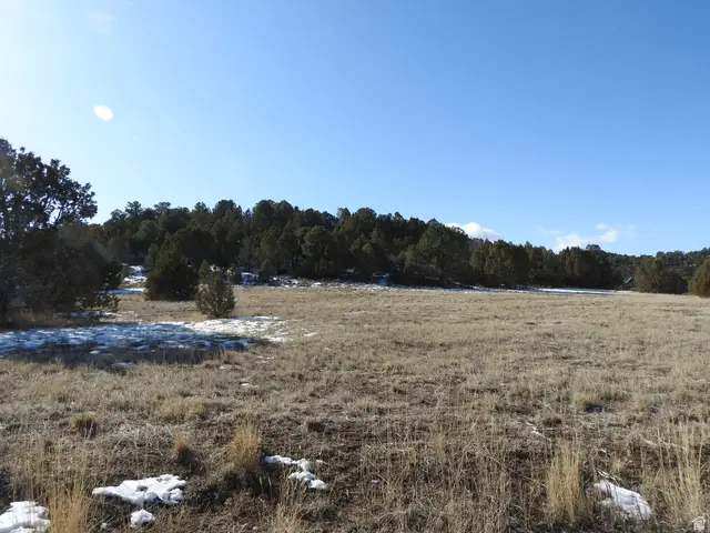 34465 N 9755 E, Fairview, UT 84629 - #2