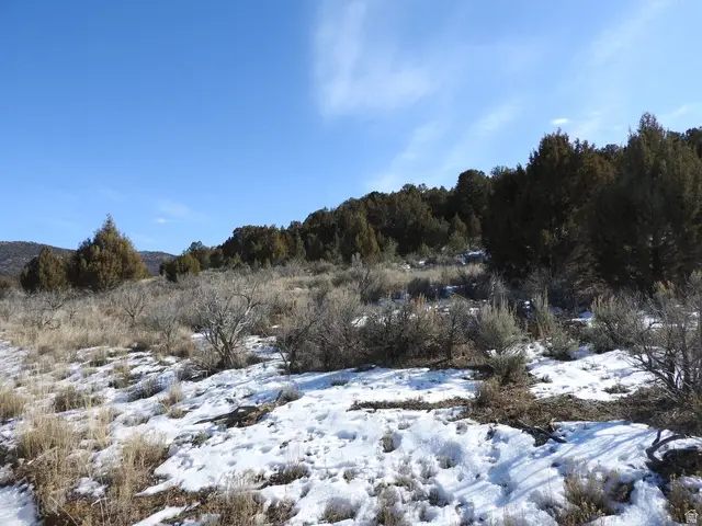 34465 N 9755 E, Fairview, UT 84629 - #3