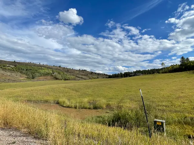 46 Elk Watch Ln #46, Freedom, WY 83120 - #2