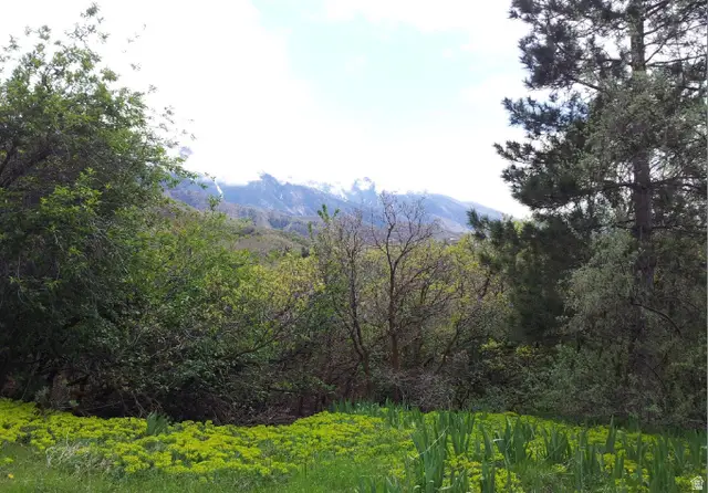 3720 E Golden Oaks Dr, Cottonwood Heights, UT 84121 - Image #2