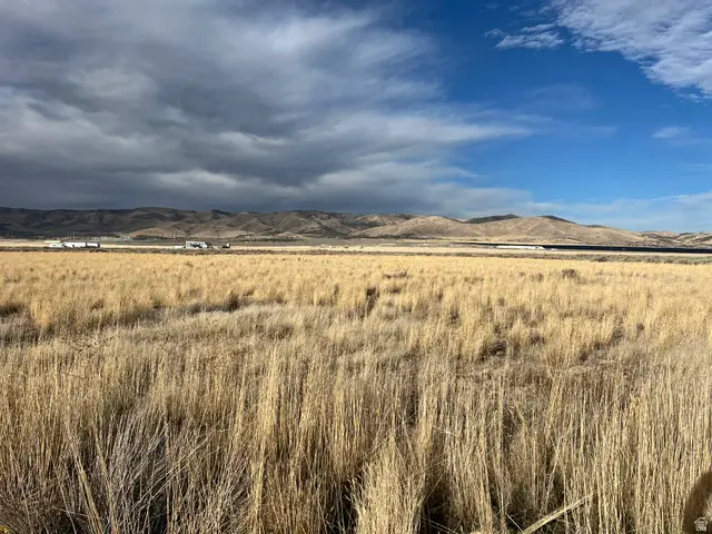 1065 N Goshen Canyon Rd W #2, Mona, UT 84645 - #1