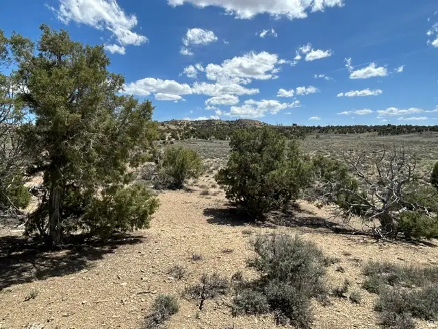 Address Withheld By Seller, Hinckley, UT 84021 - #1
