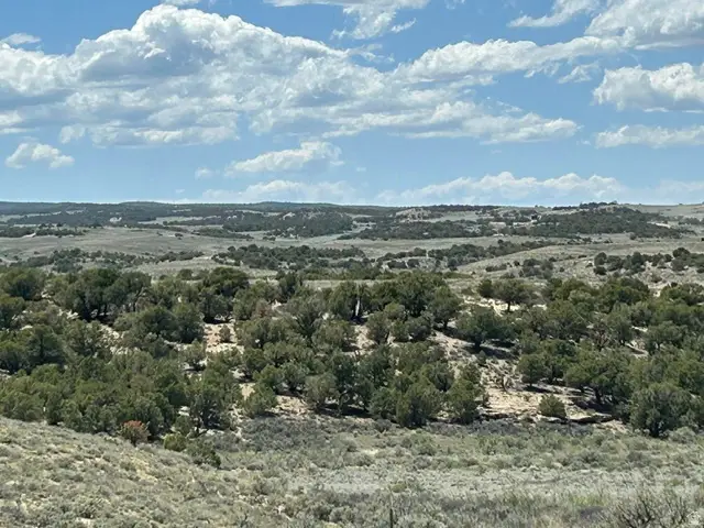 Address Withheld By Seller, Hinckley, UT 84021 - #2