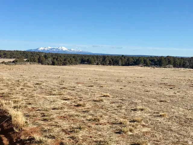 259 N Old Hwy, Monticello, UT 84535 - #1