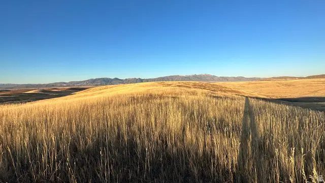 255 W Mail Route Rd, Preston, ID 83263 - #3