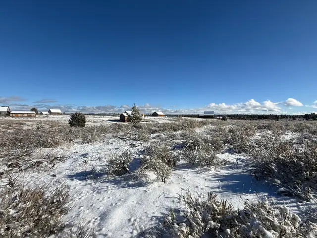 3990 David Dr, Island Park, ID 83429 - #2