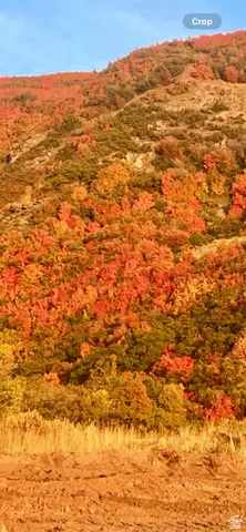 128 S Grandison Ct E #77-R, Fruit Heights, UT 84037 - #2