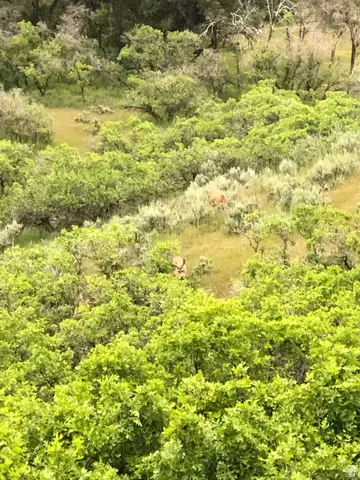 541 S Left Fork Hobb Rd E #8, Springville, UT 84663 - #3