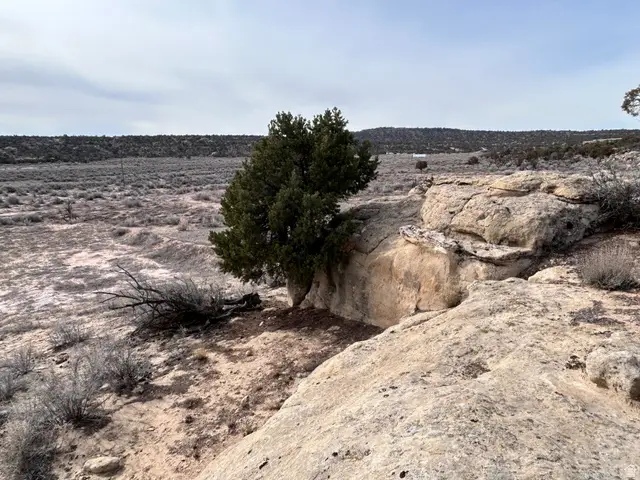 See Directions #9-J-3, Duchesne, UT 84021 - #1