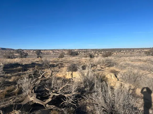 See Directions #9-J-3, Duchesne, UT 84021 - #2