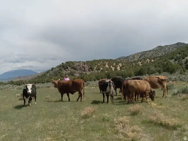 0 County Road 28, Levan, UT 84639 - #1