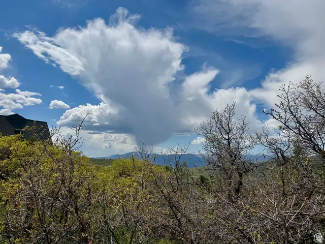 9395 E Ridge Pine Rd #807, Heber City, UT 84032 - #1