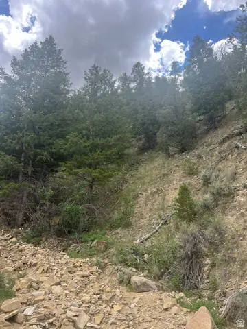 Address Withheld By Seller, Duchesne, UT 84021