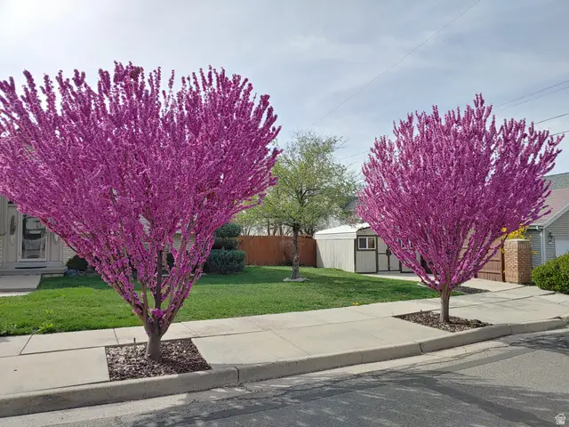 4210 S Caroleen Way E, Millcreek, UT 84124 - #3