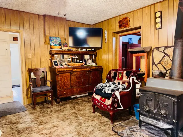 393 W Center St, Springville, UT 84663 - #3