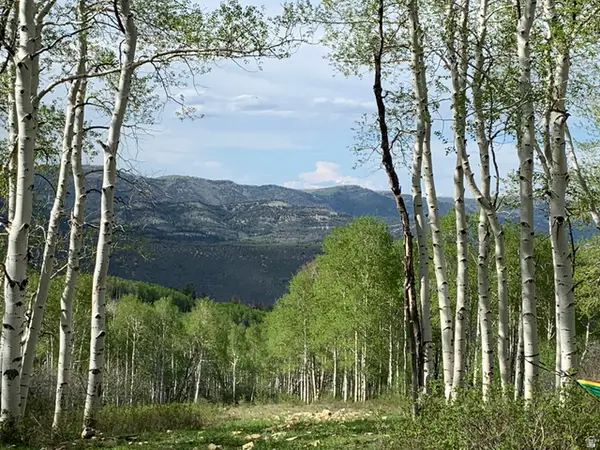 Dr #53, Spanish Fork, UT 84660