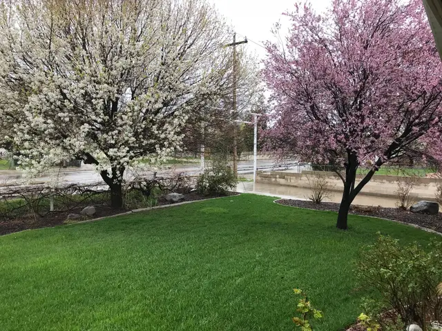 8701 S Temple Dr, West Jordan, UT 84088 - #2