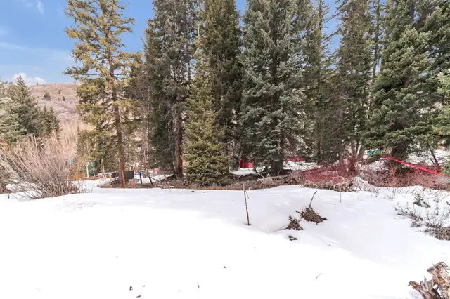 10840 E Moose Run Ln #21,22, Brighton, UT 84121 - #3