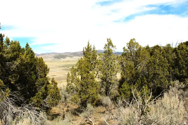 #94, Indianola, UT 84629 - #3