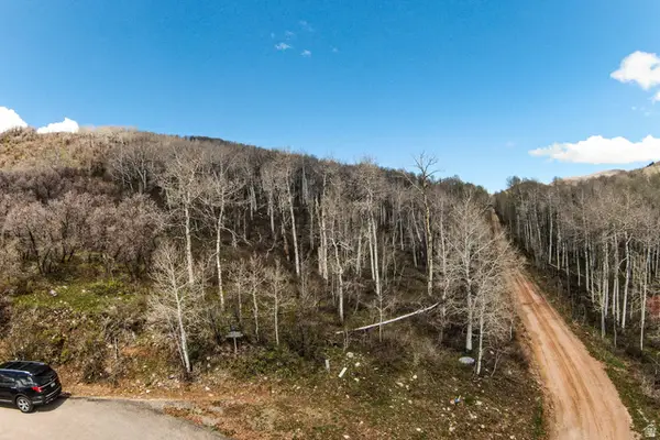 199 Mountainview #199, Oakley, UT 84055