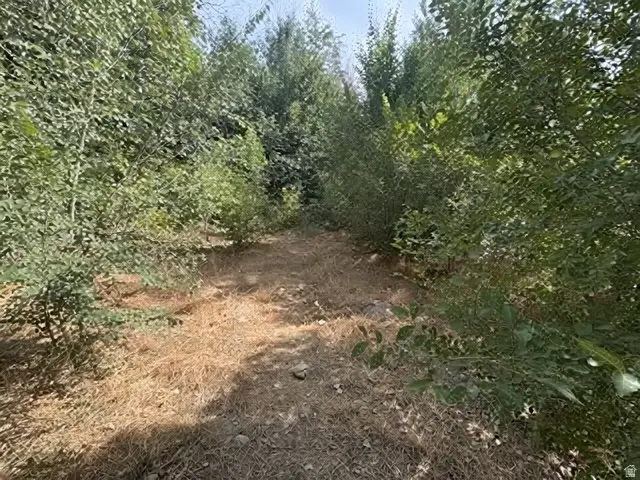 1648 E 4150 S, Salt Lake City, UT 84124 - #2