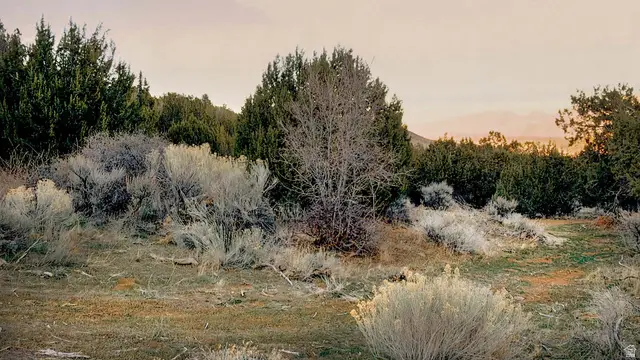 Address Withheld By Seller, Elberta, UT 84626 - #2