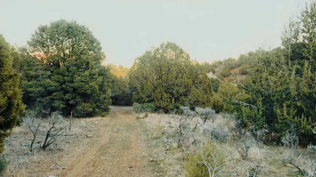 Address Withheld By Seller, Elberta, UT 84626 - #3