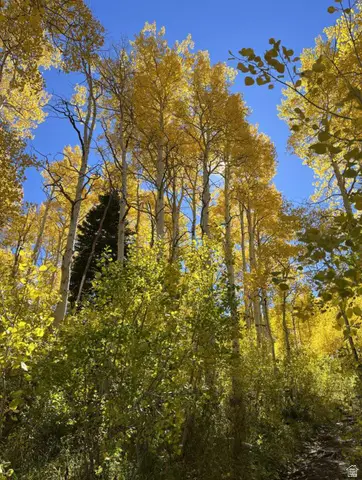 4410 Fawn Way #2038, Heber City, UT 84032 - #2