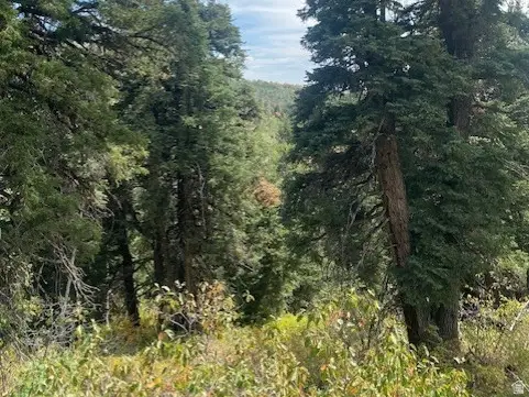 2393 S Navajo Dr #C-47, Coalville, UT 84017 - #3