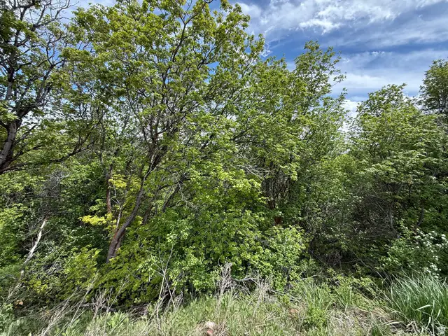 1517 S Mahogany Dr #B18, Garden City, UT 84028 - #2